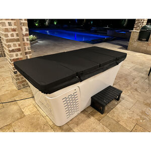 EZLIFE Lifetrend Alta 2 in 1 Hot & Cold Plunge, , hires