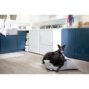 Speed Queen DR7 27 in. 7.0 cu. ft. Gas Dryer with Pet Plus Cycle, Sensor Dry, Sanitize & Steam Cycle - White, White, hires