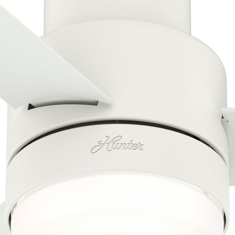 Hunter Casablanca 44 in. Gilmour Low Profile Damp Rated Ceiling Fan with LED Light Kit and Handheld Remote - Matte White, Matte White, hires