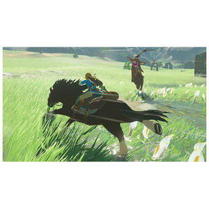 The Legend of Zelda: Breath of the Wild for Nintendo Switch, , hires