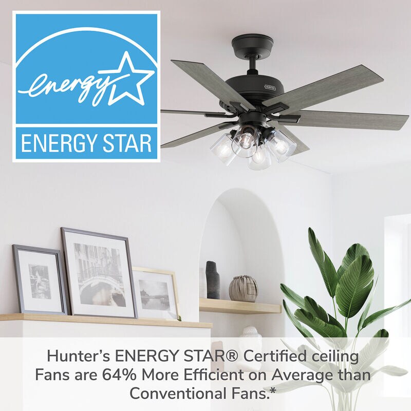 Hunter 52 in. Fonthill Energy Star HunterExpress Ceiling Fan with LED Light Kit & Handheld Remote - Matte Black, Matte Black, hires