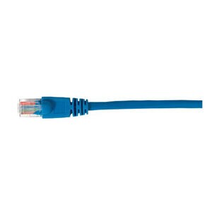 RCA 7-Feet Cat5e Network Cable, , hires