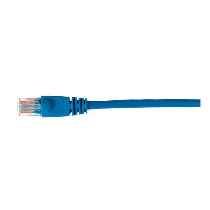RCA 7-Feet Cat5e Network Cable, , hires