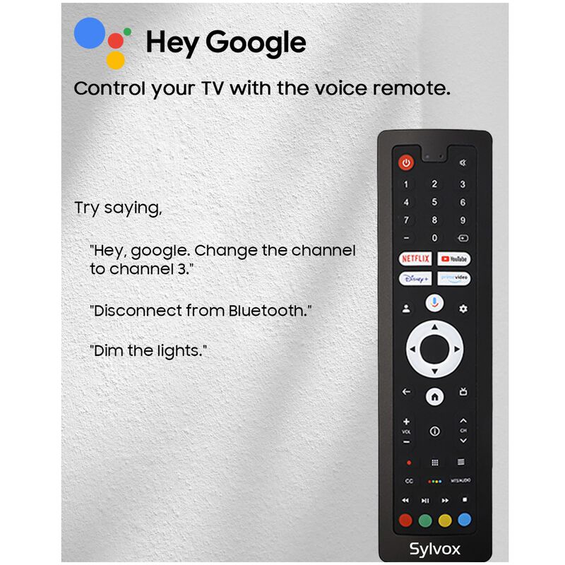 Sylvox - Pool Pro 2.0 65" Class Full Sun 4K UHD QLED Smart Google Outdoor TV, , hires
