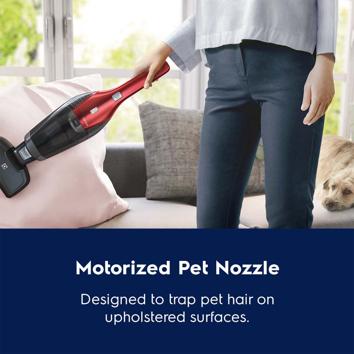 Electrolux Ergorapido Pet Lightweight Cordless Vacuum Chili Red