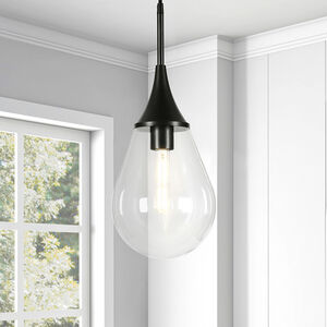 Hudson & Canal Ambrose 7.6 in. Pendant with Clear Glass - Blackened Bronze, , hires