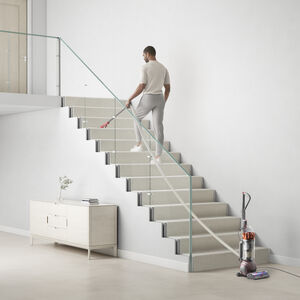 Dyson Ball Animal 3 Bagless Pet Upright Vacuum with 4 Additional Tools, , hires