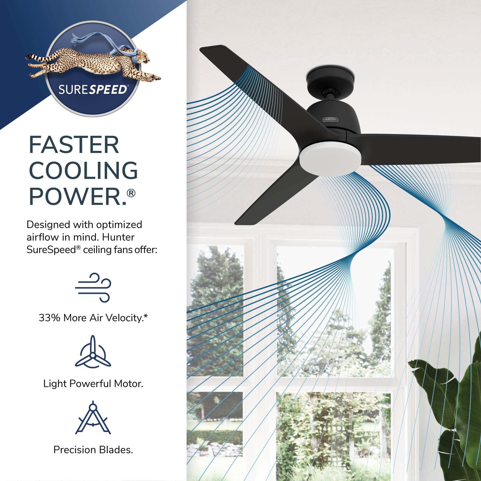 Hunter 52 in. Malden Ceiling Fan with LED Light Kit & Handheld