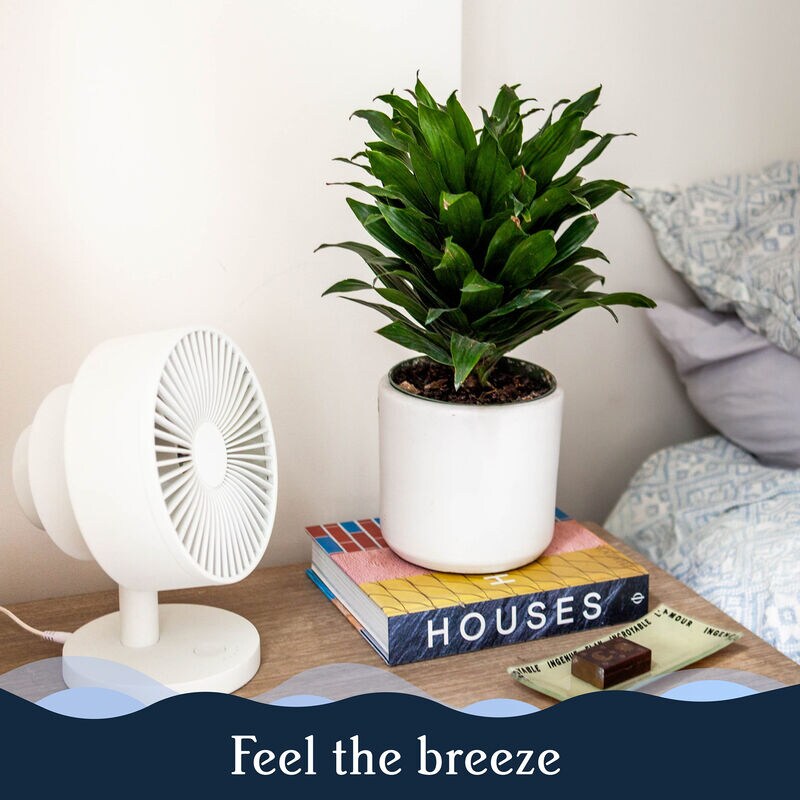 Windmill Smart Personal Fan with 5 Speed Settings, Adjustable Tilt & Remote Control - White, , hires