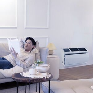 Friedrich WallMaster Series 8,000 BTU 110V Smart Through-the-Wall Air Conditioner with 3 Fan Speeds & Remote Control - White, , hires
