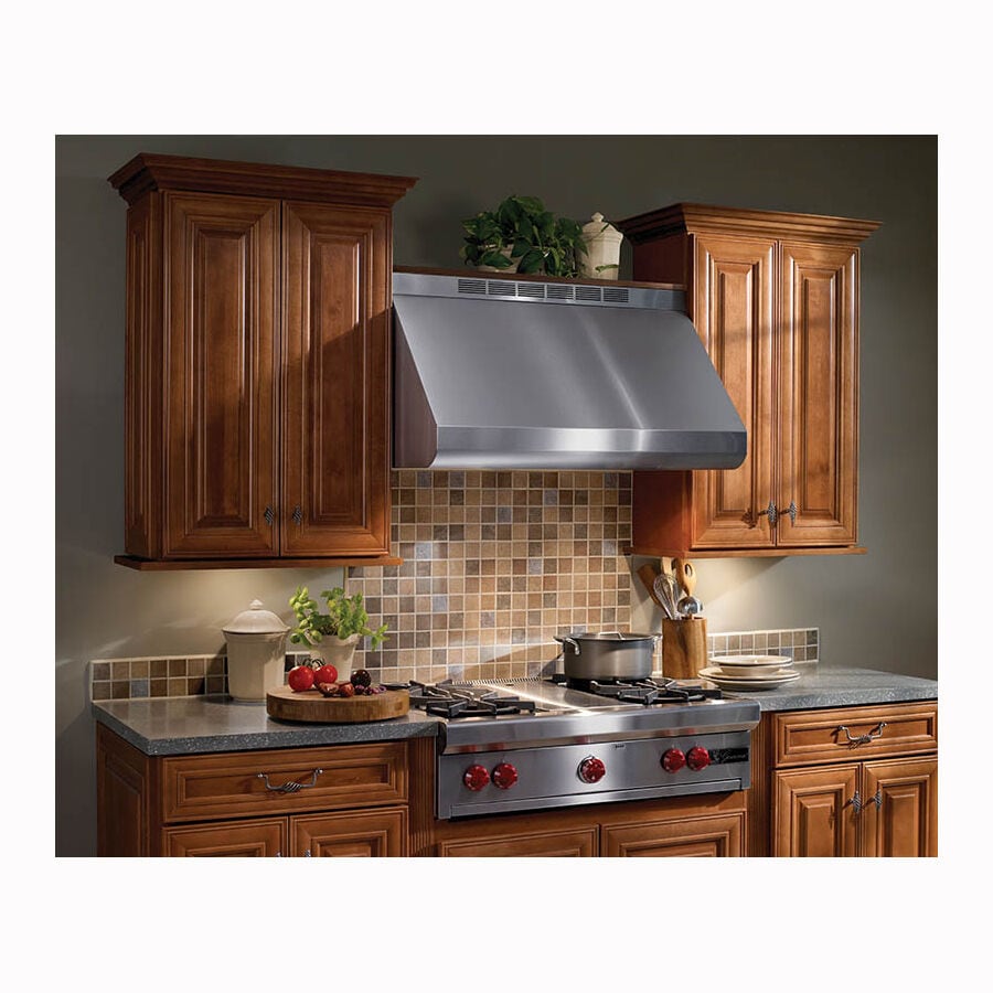 Canopy style sale chimney hood fan