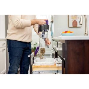 Bissell Cleanview Light-Weight Bagless Pet Upright Vacuum with 3 Additional Tools, , hires