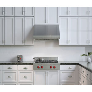Wolf 30 in. Ducted Canopy Pro Style Style Range Hood with 2 LED Lights - Stainless Steel, , hires
