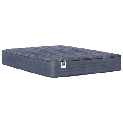 Sealy Warner Special Edition Firm Innerspring Twin Extra Long Mattress | 531981-31TXL