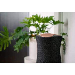 Sony Premium Wi-Fi Enabled 360 Reality Audio Wireless Speaker with Ambient Room-Filling Sound - Black, , hires