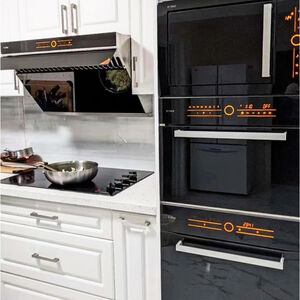 Fotile Master Series 24 in. 2.4 cu. ft. Electric Single Wall Oven with Standard Convection - Black, , hires