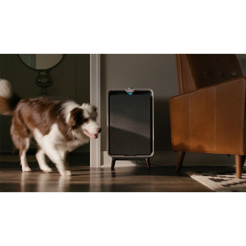 Bissell Air320 High Efficiency Smart Air Purifier with Carbon Filters for  Rooms Up To 1000 Sq Ft