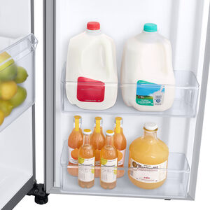 What are Ice Max bins in Samsung Frost Free Refrigerator(RT36FDJFASL)?