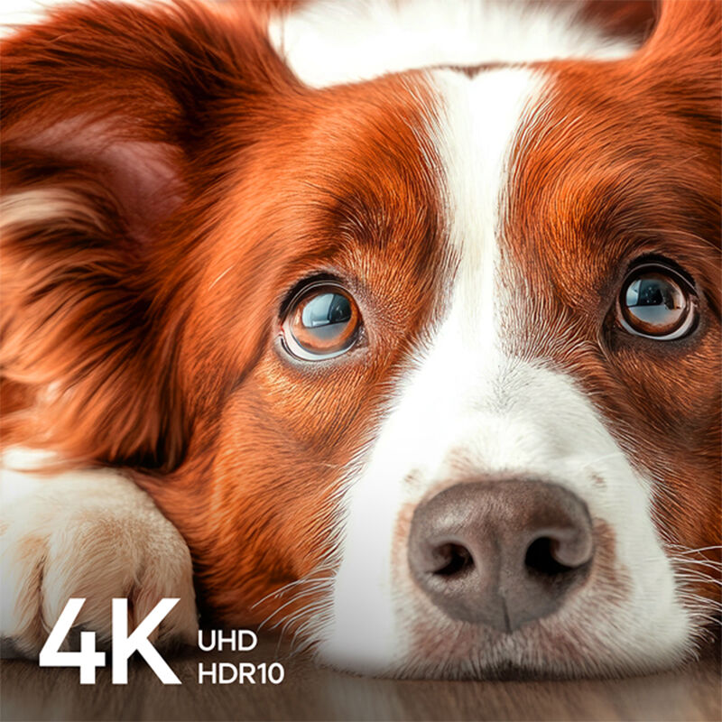 Element - 65" Class Revolution Series LED 4K UHD Smart XUMO TV, , hires