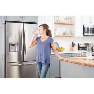 Frigidaire PureSource Plus 6-Month Replacement Refrigerator Water Filter - WFCB, , hires