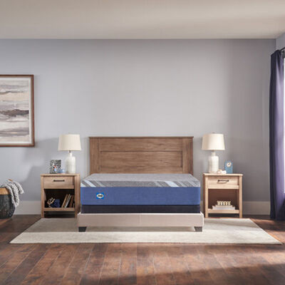 Sealy Benedict Reflexion Medium All Foam Twin XL Size Mattress | 531059-31TXL