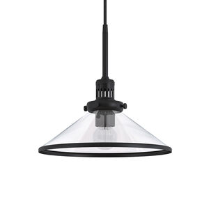 Hudson & Canal Milo 12.25 in. Pendant with Clear Glass - Blackened Bronze, , hires