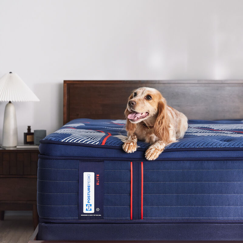 Sealy Albany II Posturepedic Elite Plush Euro Top Innerspring King Size Mattress, , hires