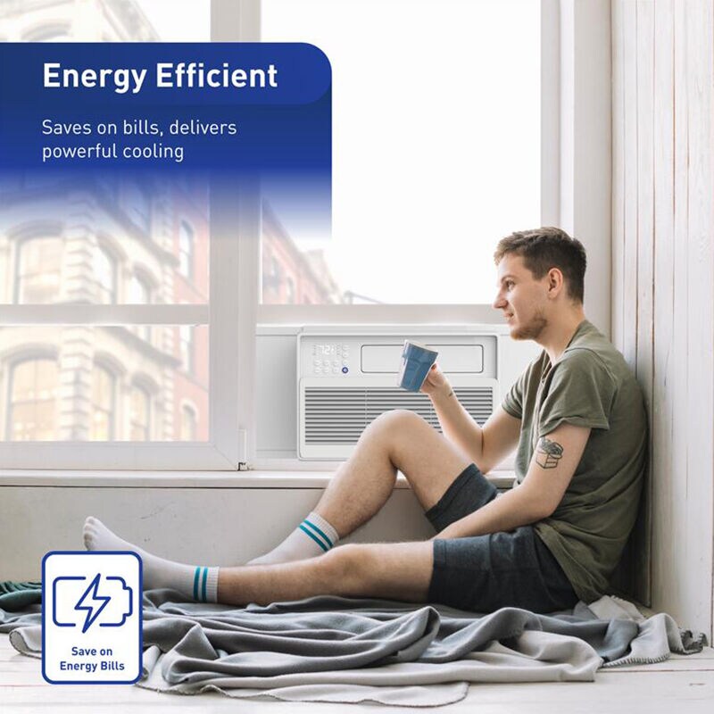 Friedrich Chill Premier Series 8,000 BTU Smart 115V Window Air Conditioner with Inverter, 3 Fan Speeds, Remote Control & R-32 Refrigerant - White, , hires