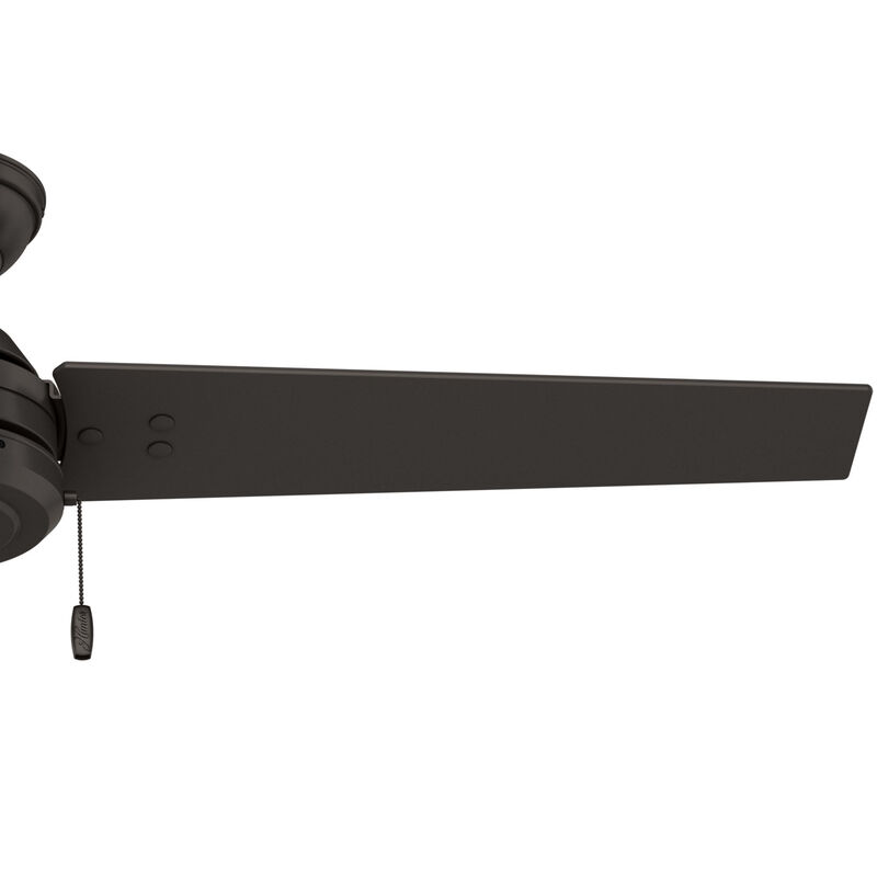 Hunter Cassius 52" Indoor/Outdoor Ceiling Fan - Bronze, Bronze, hires