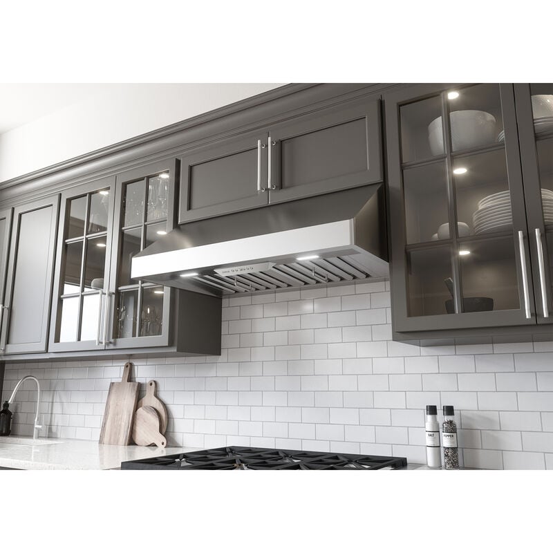 Zephyr Tempest 36 in. Convertible Standard Style Range Hood with 650 CFM, 6 Fan Speeds & 2 LED Lights - Stainless Steel, , hires