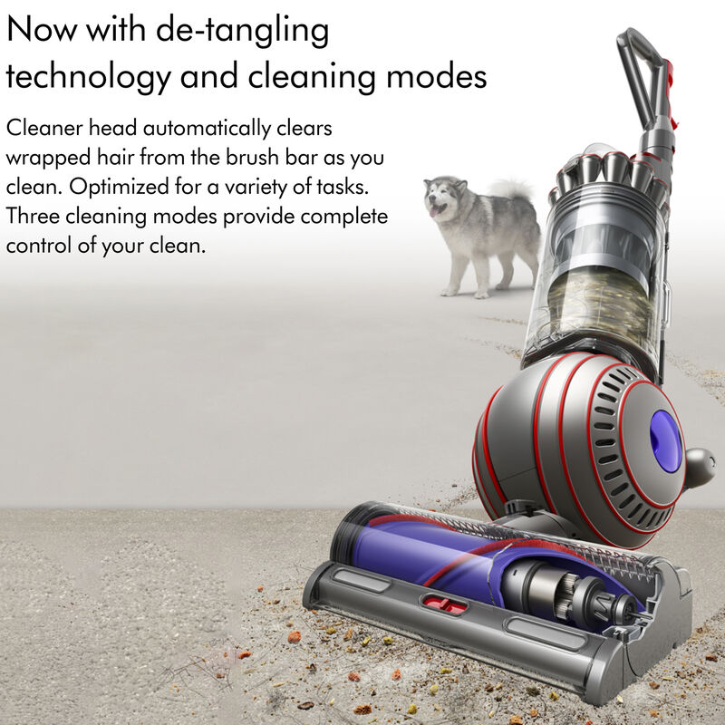 Dyson Ball Animal 3 Bagless Pet Upright Vacuum with 4 Additional Tools, , hires