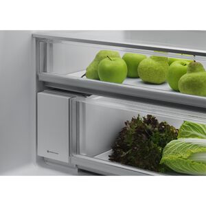 Fisher & Paykel Series 5 31 in. 18.2 cu. ft. Bottom Freezer Refrigerator with Water Dispenser - Stainless Steel, , hires