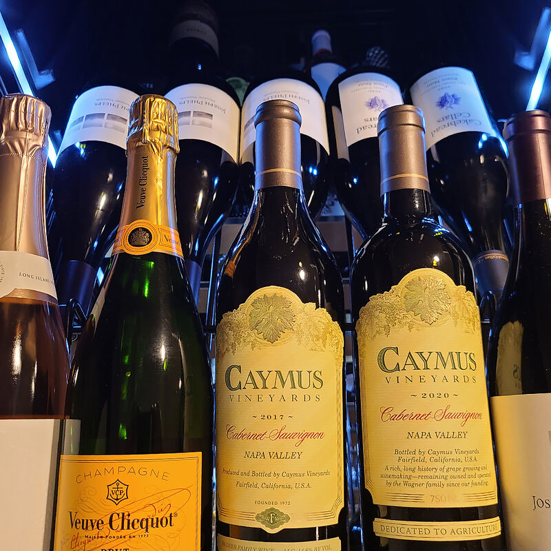 XO 24 in. Wine Cooler with Metal Racks, Dual Temperature Zones & 119 Bottle Capacity - Stainless Steel, , hires