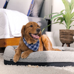 BEDGEAR Performance Pet Bed - Small, , hires