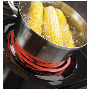 GE 30 in. 5 cu. ft. Electric Range with Coil Burners - Black, Black, hires