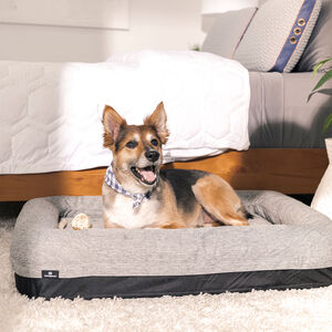 BEDGEAR Performance Pet Bed - Extra Large, , hires