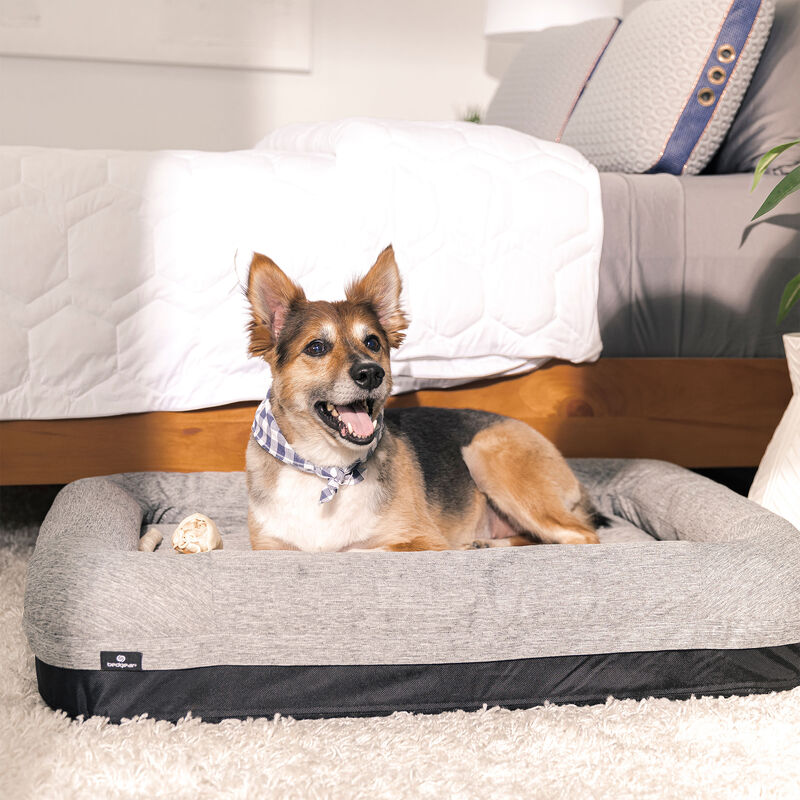 BEDGEAR Performance Pet Bed - Extra Large, , hires