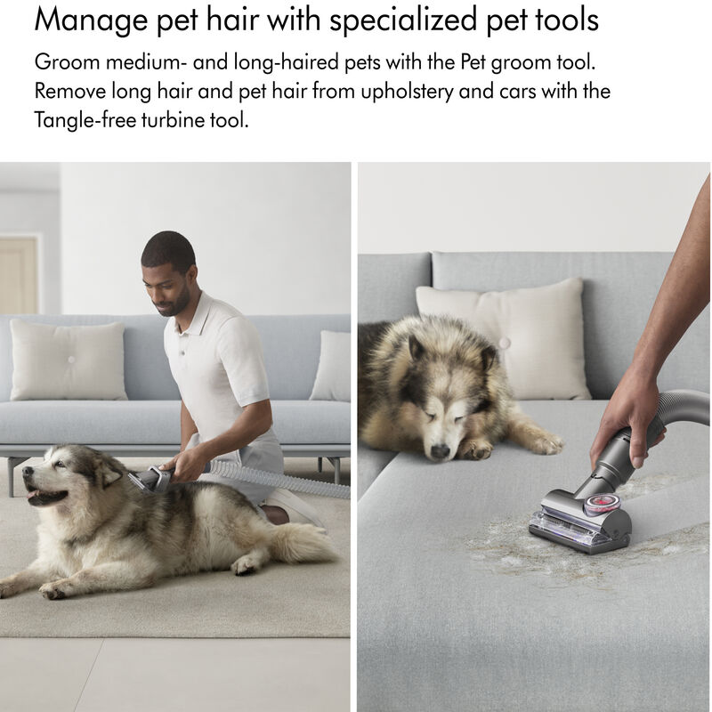 Dyson Ball Animal 3 Bagless Pet Upright Vacuum with 4 Additional Tools, , hires