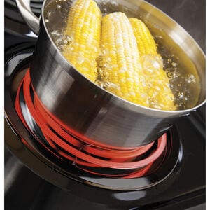 GE 30 in. 5 cu. ft. Electric Range with Coil Burners - Black, Black, hires