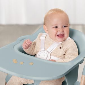 Evenflo RightSeat Multi-Stage High Chair - Saqe, Sage Green, hires
