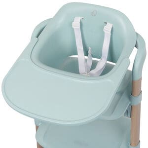 Evenflo RightSeat Multi-Stage High Chair - Saqe, Sage Green, hires