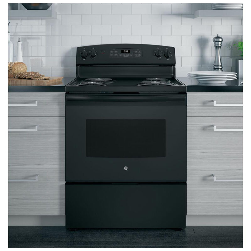 GE 30 in. 5.0 cu. ft. Oven Freestanding Electric Range with - Black, Black, hires