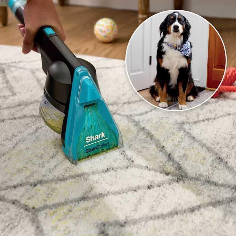 Shark CarpetXpert Bagless Pet Upright Vacuum with 4 Additional Tools, , hires