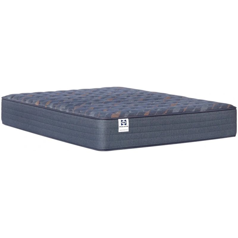 Sealy Warner Special Edition Firm Innerspring Queen Size Mattress, , hires