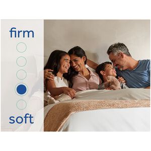Sealy Warner Special Edition Plush Euro Top Innerspring Twin XL Size Mattress, , hires