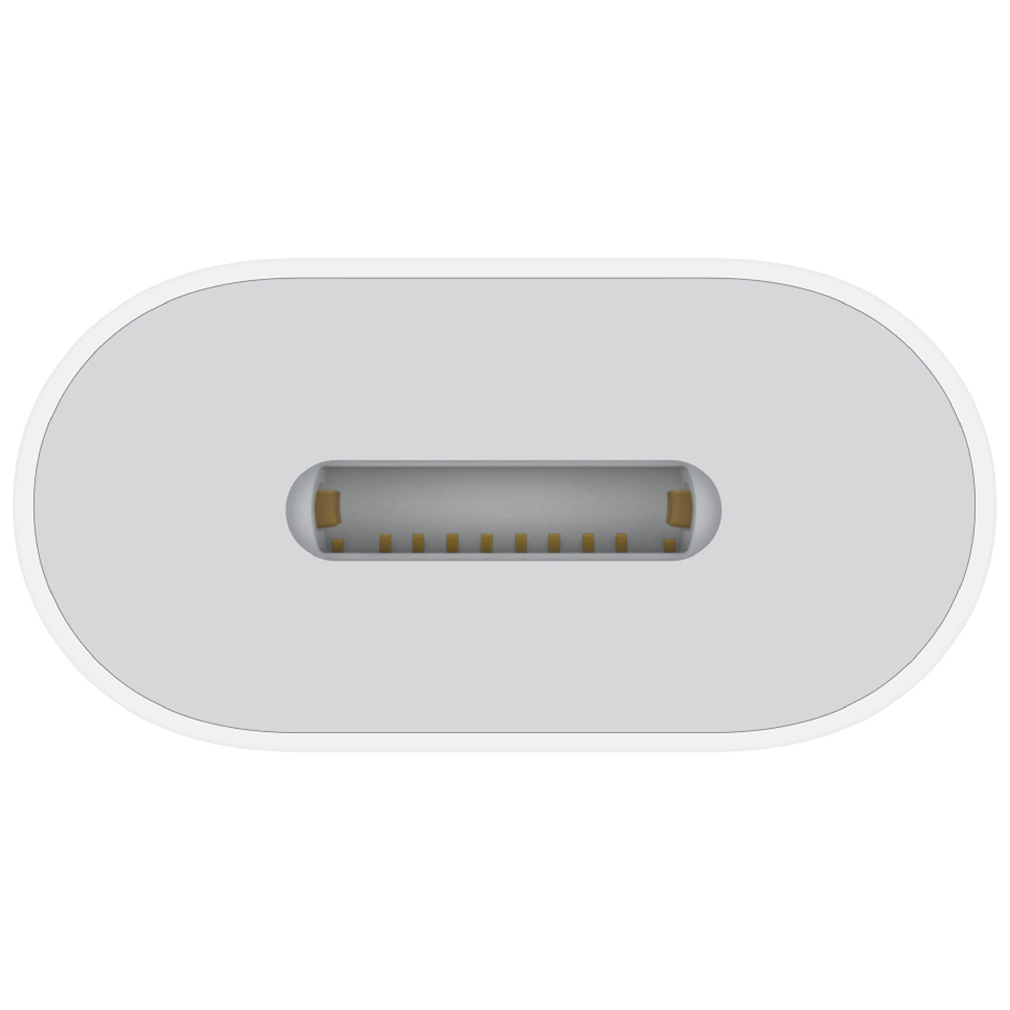 USB-C to Lightning Adapter - Thumbnail 5