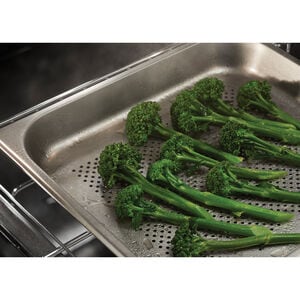 Fisher & Paykel Series 11 24 in. 3 cu. ft. Smart Steam Electric Single Wall Oven with Standard Convection - Black, , hires