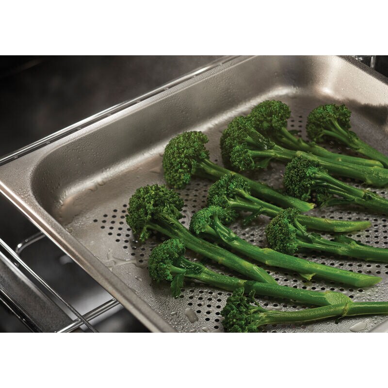 Fisher & Paykel Series 11 24 in. 3 cu. ft. Smart Steam Electric Single Wall Oven with Standard Convection - Black, , hires