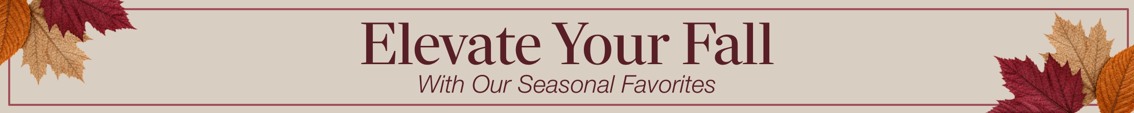 elevate your fall with our seasonal favorites