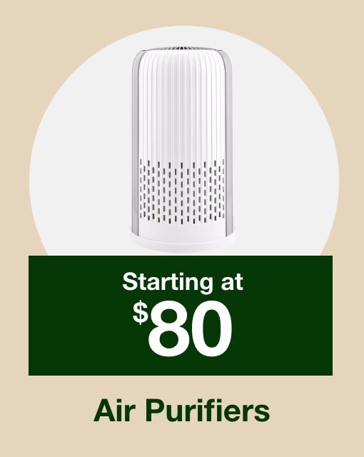 Air purifiers starting at $80 